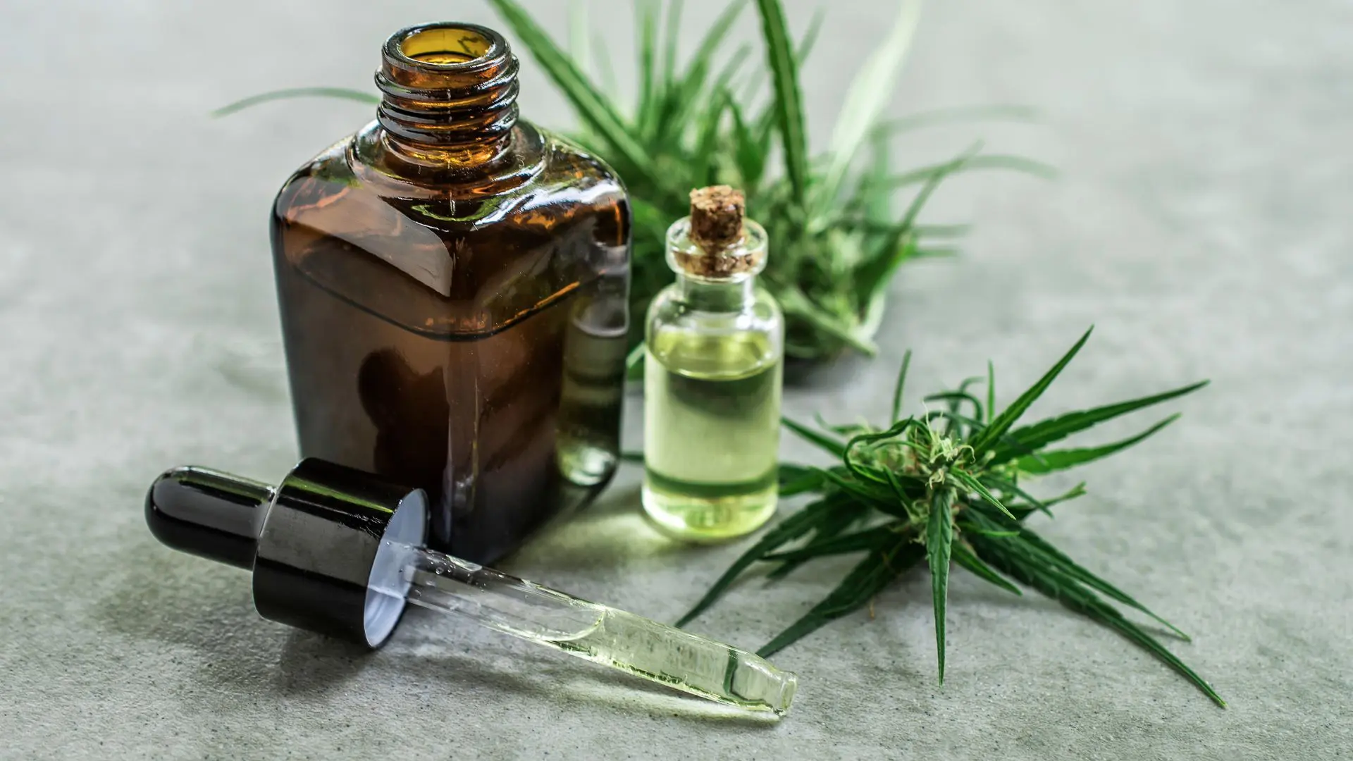 Servicios Seven-Green.co