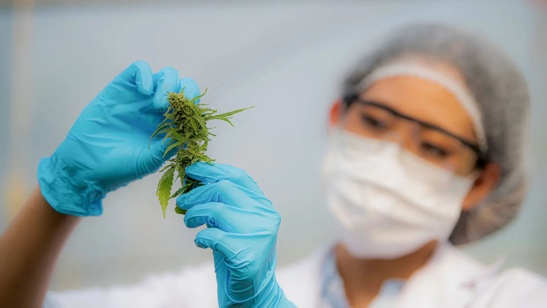 Sobre Nosotros Seven-Green.co